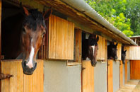 free New Catton stable construction quotes